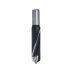 309.Wiertło D=12,3 I=43 L=70 S=10 RH I=43 L=70 S=10 RH