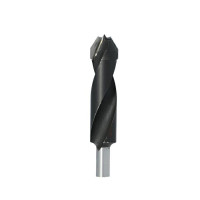 375.Wiertło P D=20 I=80 L=100 S=10x20 HW RH 4F