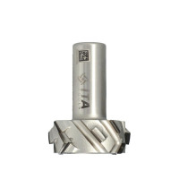 DTJ.FrezDIA D=60 I=23 S=25 Z=4+4 RH H=4 a40°