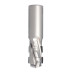 FrezDIA Z2+1 D=25 I= 40 L=105 S=25x50 RH 10PCD+1HM H2,5 4spirale korpus:STAL