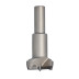 DWA Wiertło DIA D=25 L=57 S=10x30 RH Z=2+2