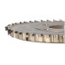 Hogger D-CUT D=250 I=15 S-SYS160 F=60+4/15/100 Z=24+24+6+6 H6 RH TYP D-CUT