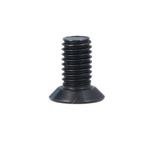 Śrubka M5x10 T20 Torx