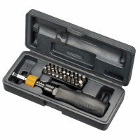 Wkrętak dynamometryczny 1/4 1-6 Nm20 wymiennych grotów w zestawie